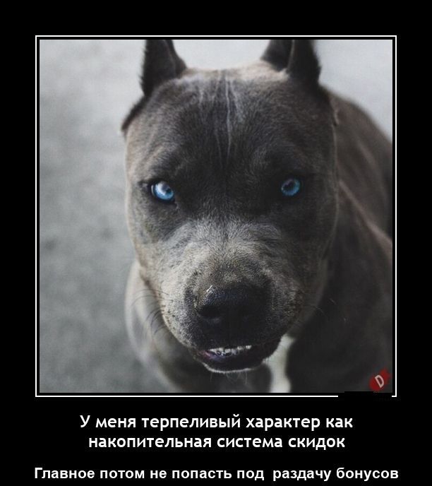 У меня терпеливый характер как накопичепьип систем скидвк Главное потом и попасть под раздачу Бонусов