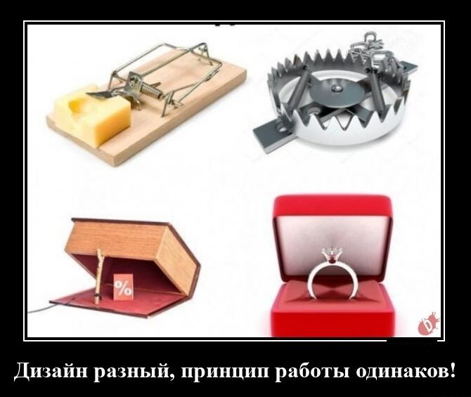 Лигии рнып принцип работы циника