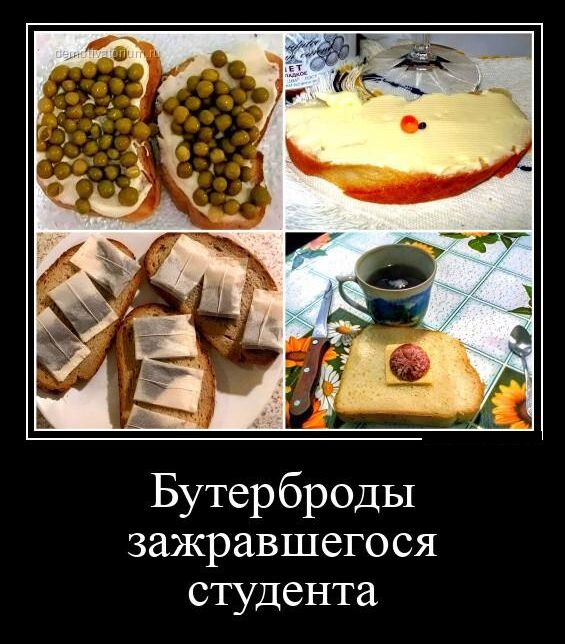 Бутерброды зажравшегося студента