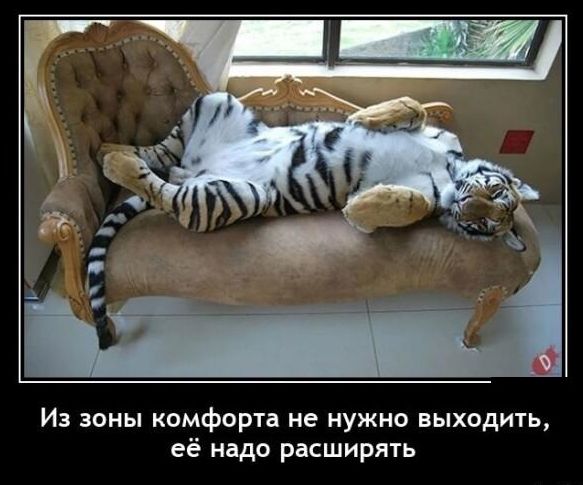 Из зоны комфорта не нужно выходить её надо расширять