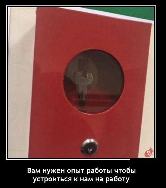 Вам нужен опыт работы чтобы устроиться к нам на работу