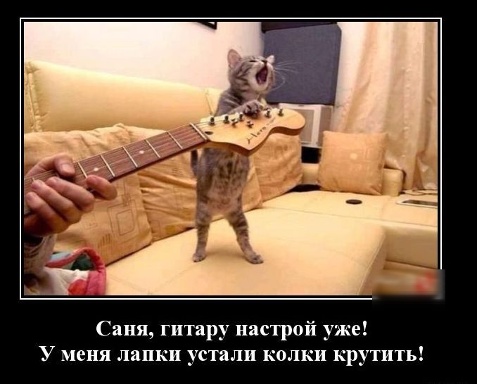 Саня гитару ипгтрой уже У меня лапки устали колки крутить
