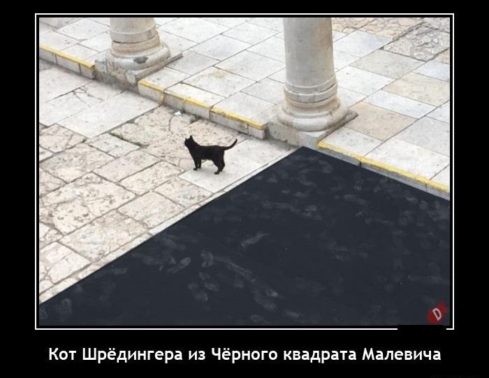 ъ КШ Шредингер и Черного пдран Малевич