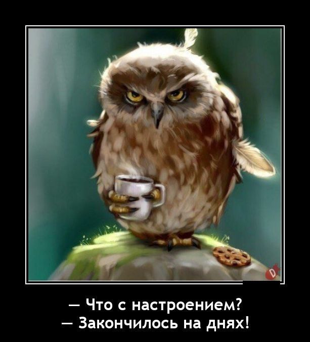 Что с настроением Закончилось на днях
