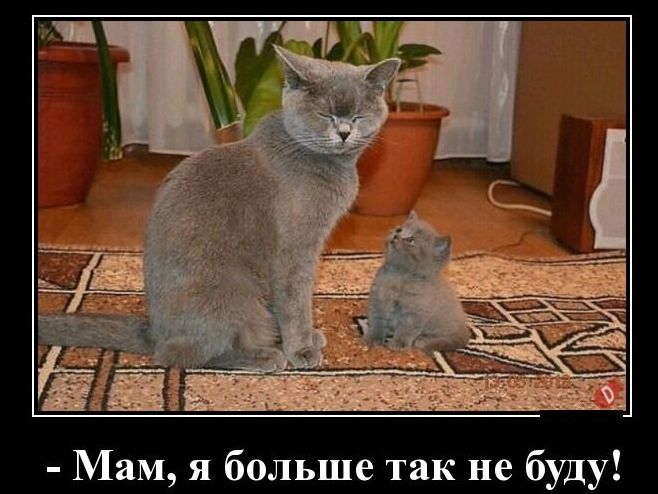 Мам я больше так не буду