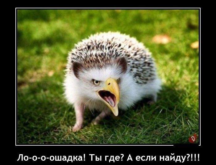 Ло оо ошадкд Ты где А если найду