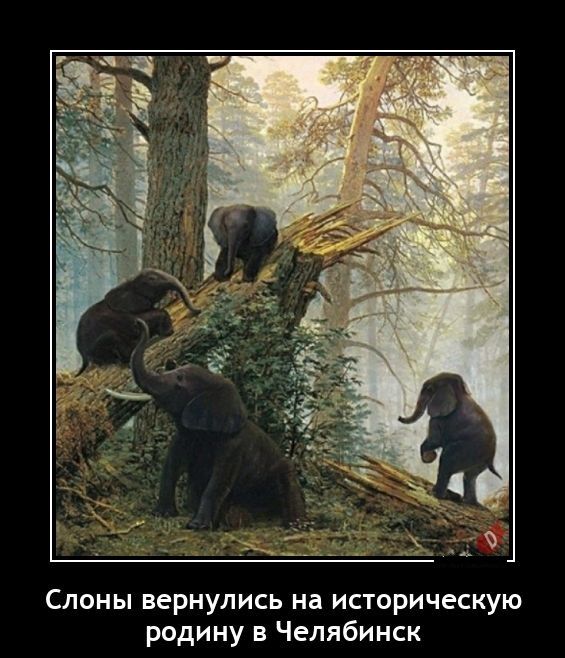 Слоны вернулись на историческую родину в Челябинск