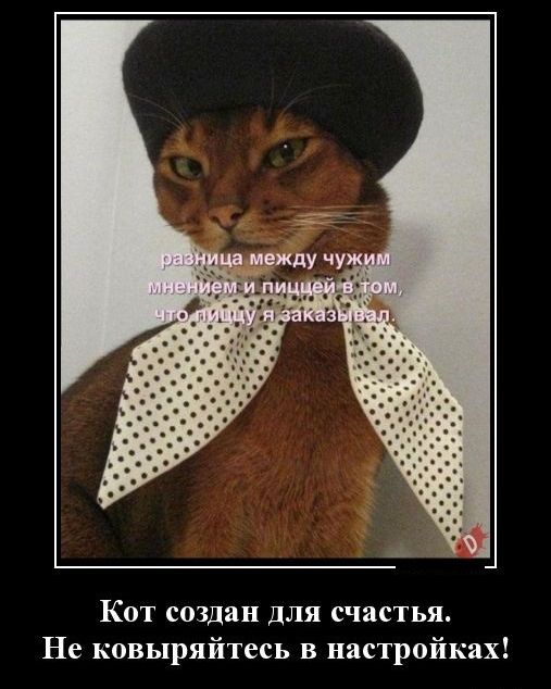 Кот создан для счастья Не ковыряйтесь в настройках