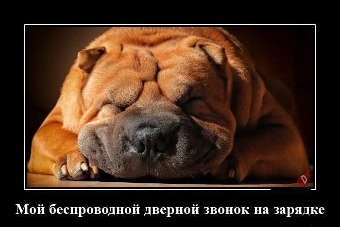 Мой беспроводной дверной звонок и вилке