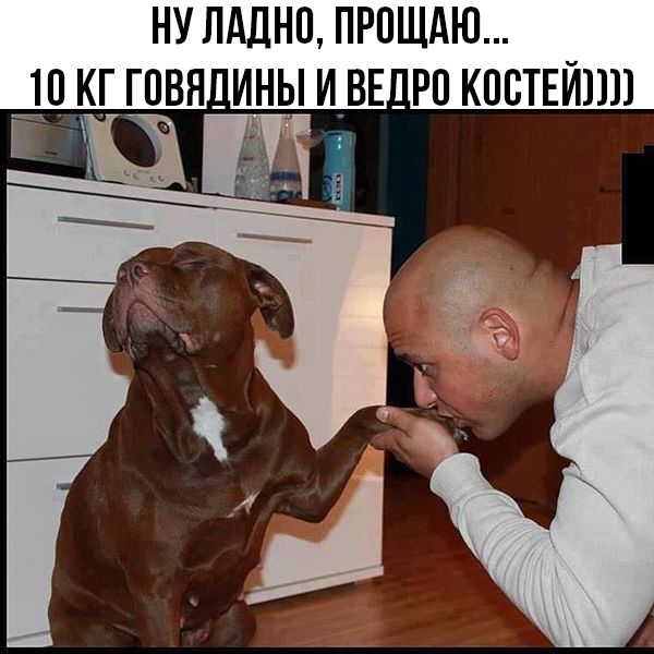 НУ ЛдЛНП ПРОЩАЮ Ю КГ ГПВЯ ИНЫ И ВЕ РП КПСТЕЙПП