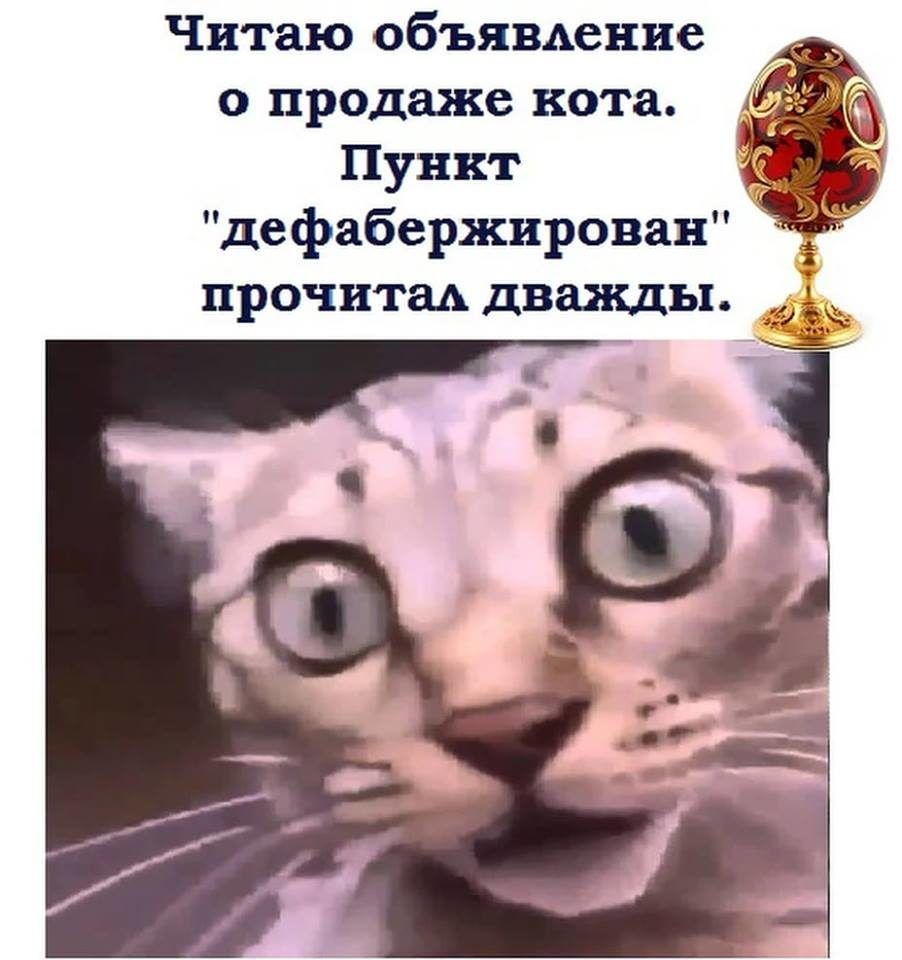Читаю объямение о продаже кота Пункт дефабержировав прочитм дважды