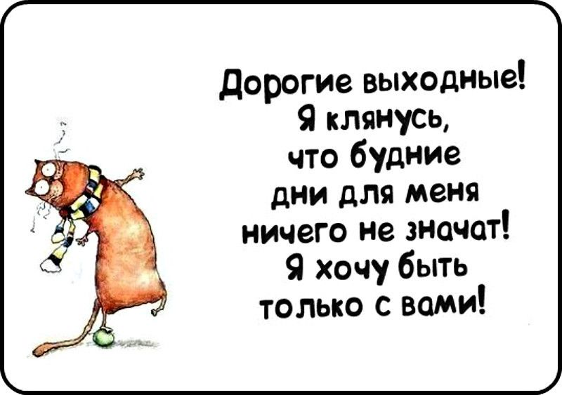 дорогие выходные Я клянусь что будние дни для меня ничего не значат Я хочу быть только с вами
