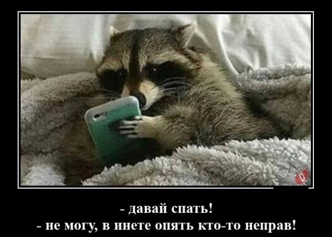 давай спать не могу в инете апять кто то неправ