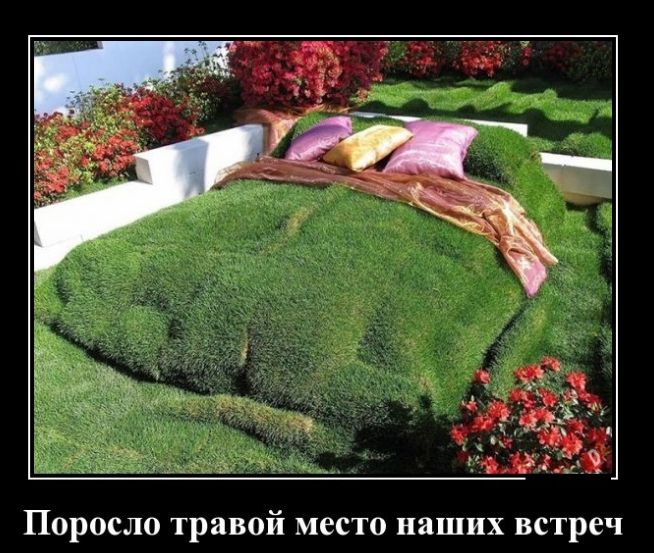 Поросло травой место наших встреч