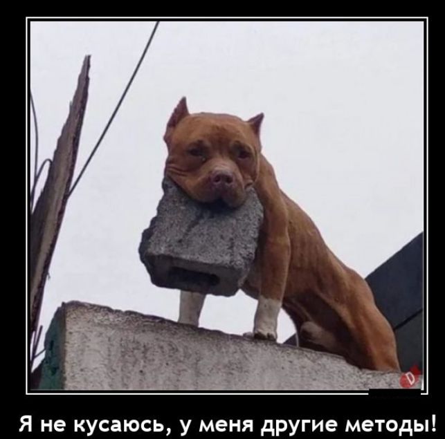 Я не кусаюсь у меня другие методы