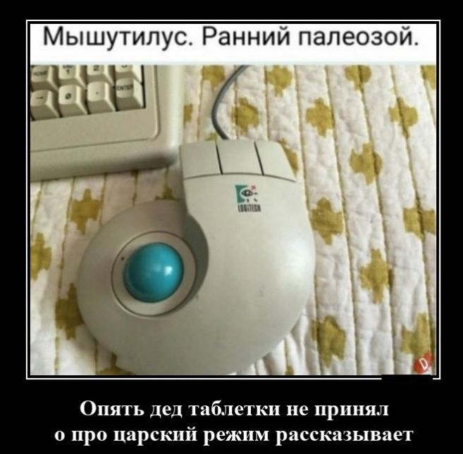Мышутипус Ранний папеозой Опять пед таблетки не принял о про царский режим рясскшывпет