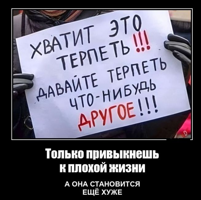 Талыш привыкнешь и плохой жизни А ОНА СТАНОВИТСЯ ЕЩЕ ХУЖЕ