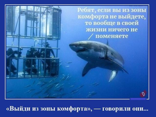 Выйдя из зоны комфорп говари они