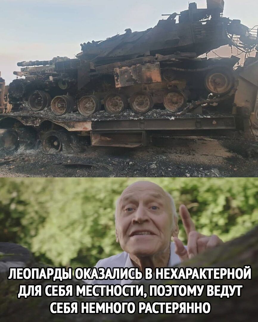А О _ ЛЕОПАРдЫ О3ИЕЬ В НЕХАРАКТЕРНОЙ дЛЯ СЕБЯ МЕСТНОСТИ ПОЭТОМУ ВЕДУТ СЕБЯ НЕМНОГО РАПЕРЯННО