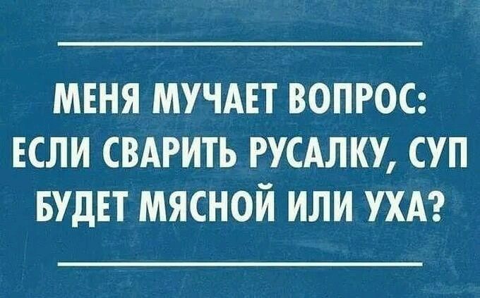 МЕНЯ МУЧАЕТ ВОПРОС ЕСЛИ СВАРИТЪ РУСАЛКУ СУП БУДЕТ МЯСНОЙ ИЛИ УХА