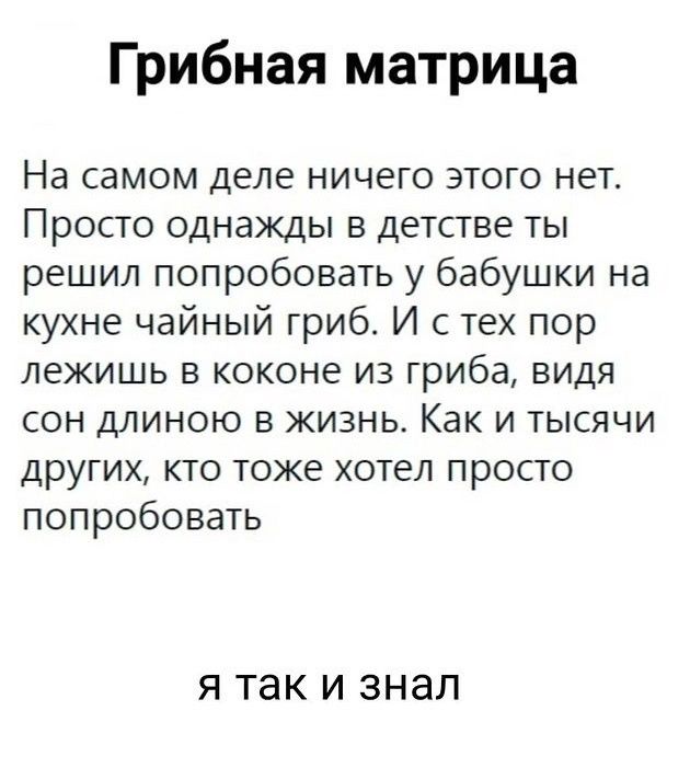 Грибная матрица На самом деле ничего этого нет Просто однажды в детстве ты решил попробовать у бабушки на кухне чайный гриб И с тех пор лежишь в коконе из гриба видя сон длиною в жизнь Как и тысячи других кто тоже хотел просто попробовать Я ТЭК И ЭНЭЛ