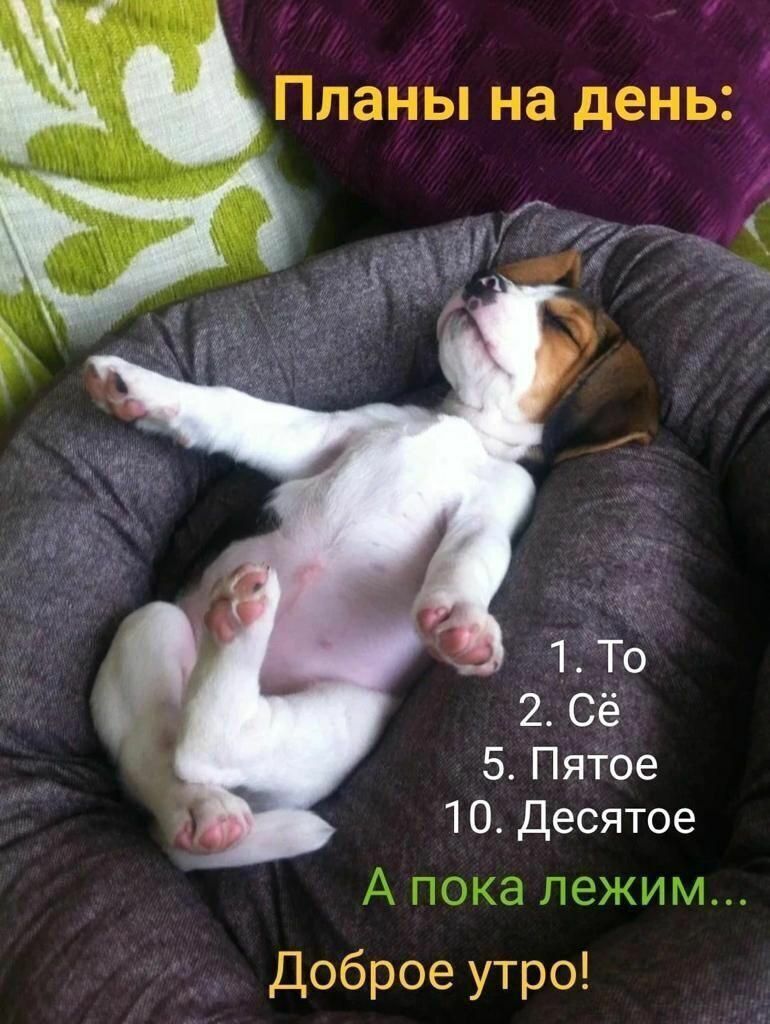 1 То 2 Сё 5 Пятое 1 0 Десятое _ Доорсе уч ро