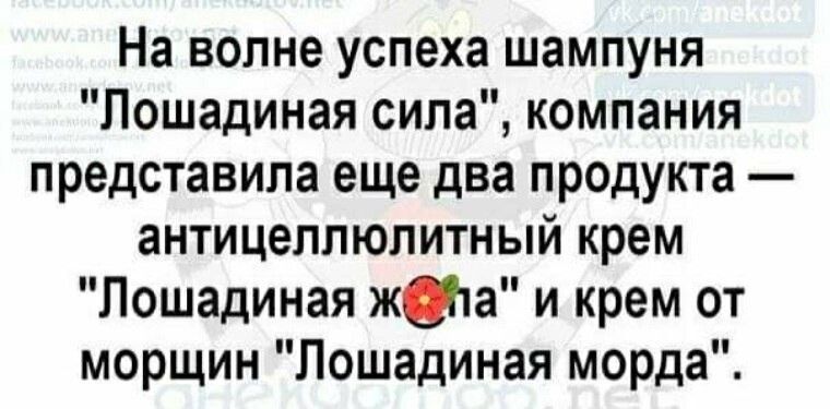 На волне успеха шампуня Лошадиная сила компания представила еще два продукта антицеллюлитный крем Лошадиная жила и крем от морщин Лошадиная морда