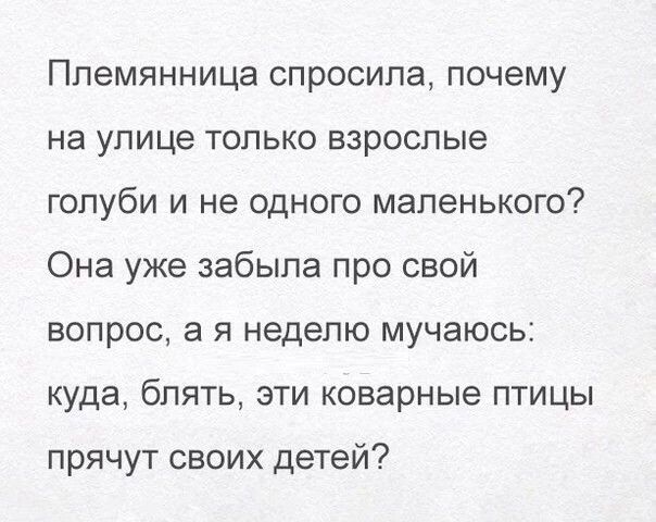 Племянница спросила почему на улице только взрослые голуби и не одного маленького Она уже забыла про свой вопрос а я неделю мучаюсь куда блять эти коварные птицы прячут своих детей