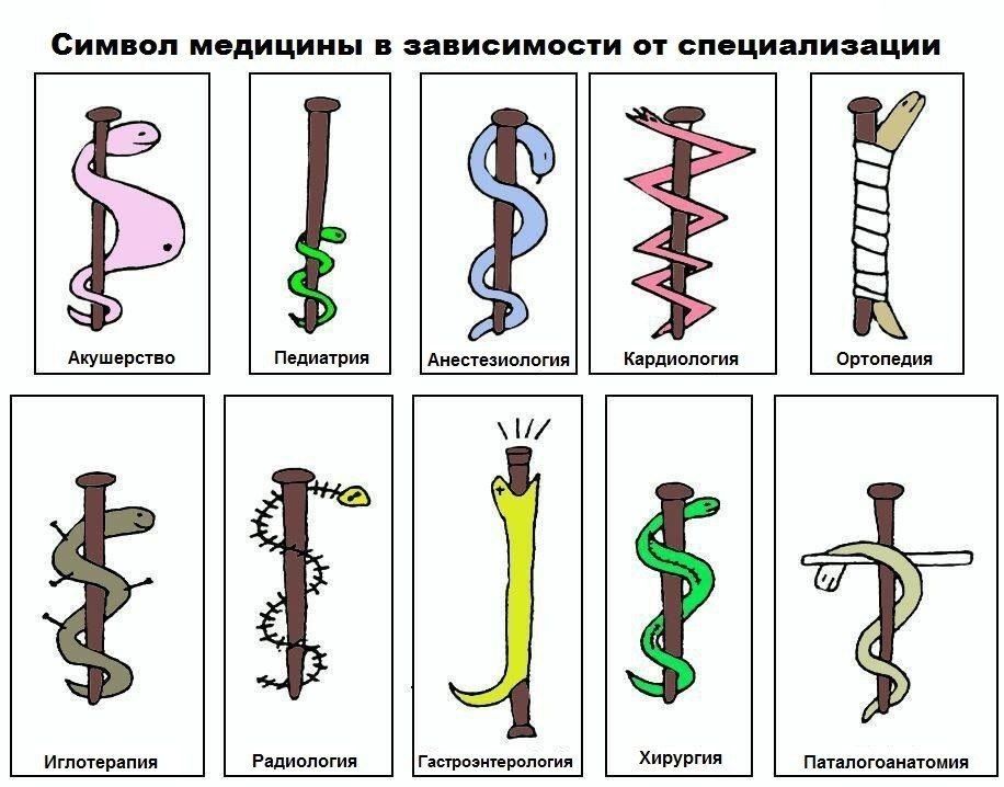 ЗИ