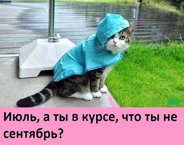 Июль а ты в курсе что ты не сентябрь