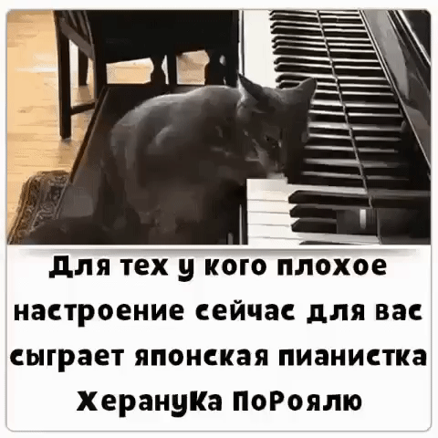 для тех у кого плохое настроение сейчас для вас сыграет японская пианистка ХерануКа ПоРоялю