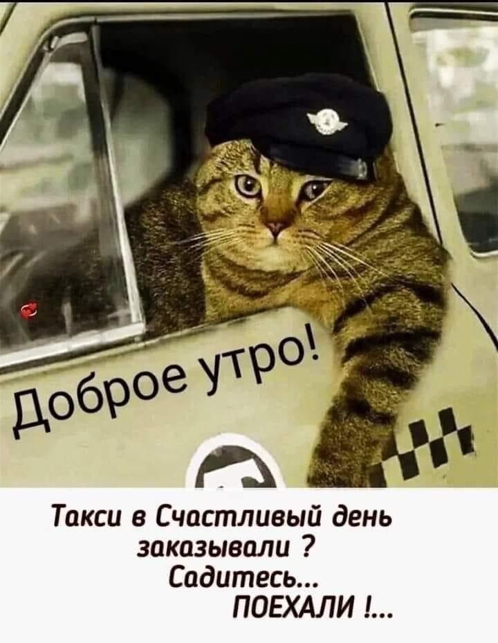 Такси в Счастливый день заказывали Садитесь ПОЕХАЛИ