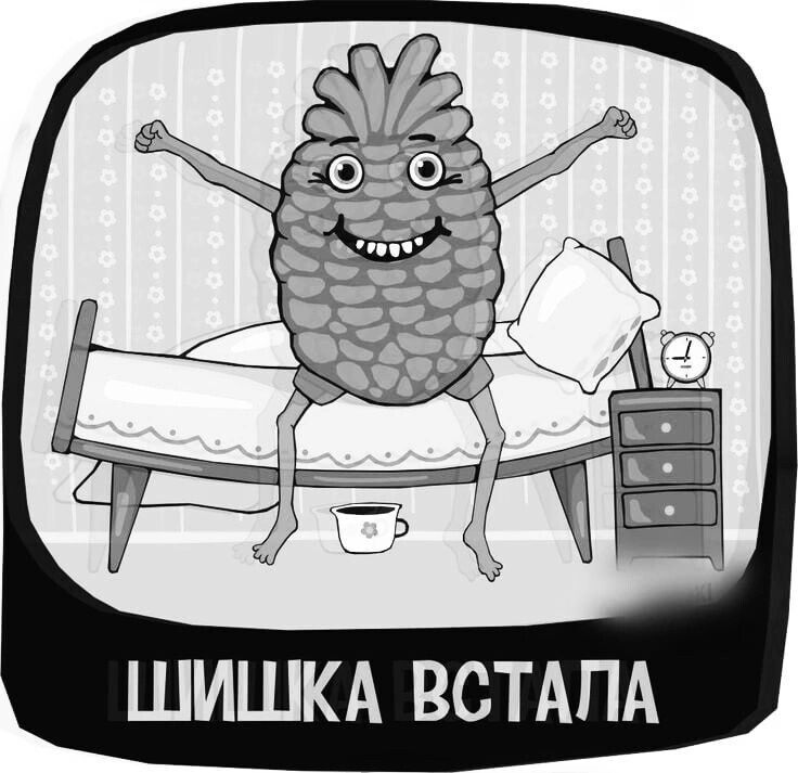 ШИШКА ВСТАПА