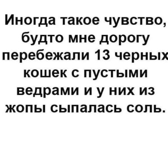 Иногда такое чувство будто мне дорогу перебежали 13 черных кошек с пустыми ведрами и у них из жопы сыпалась соль