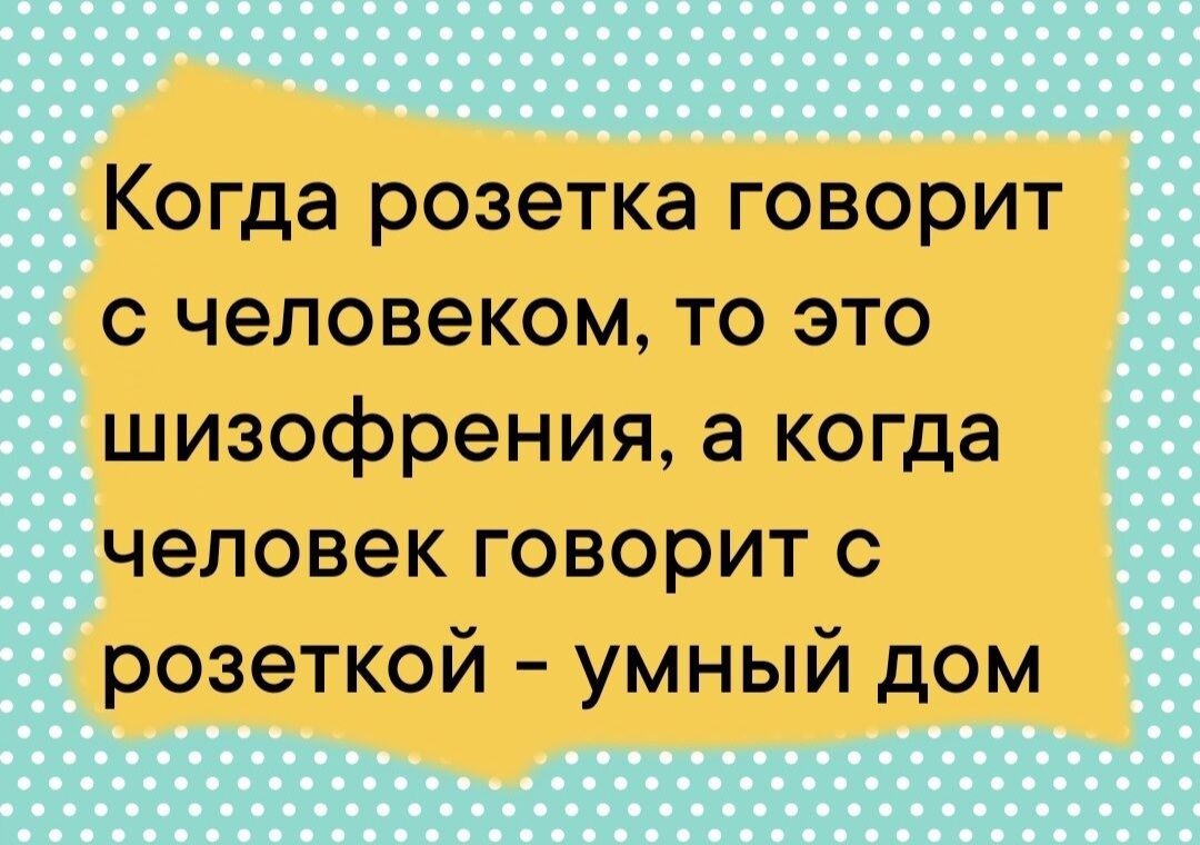 Когда розетка говорит с человеком то это шизофрения а когда человек говорит с розеткой умный дом