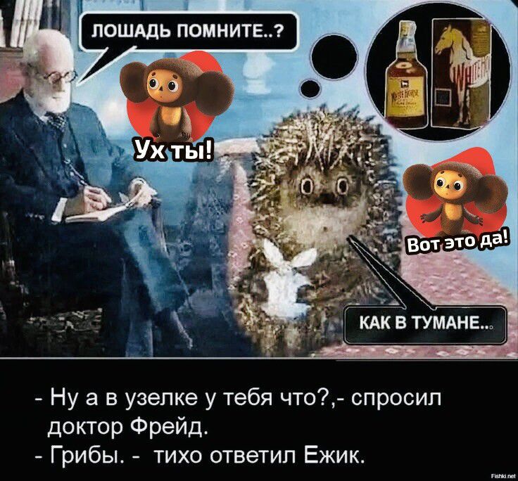 Лошадь помните..? Ух ты! Вот это да! Как в тумане...
- Ну а в узелке у тебя что?, - спросил доктор Фрейд.
- Грибы. - тихо ответил Ёжик.