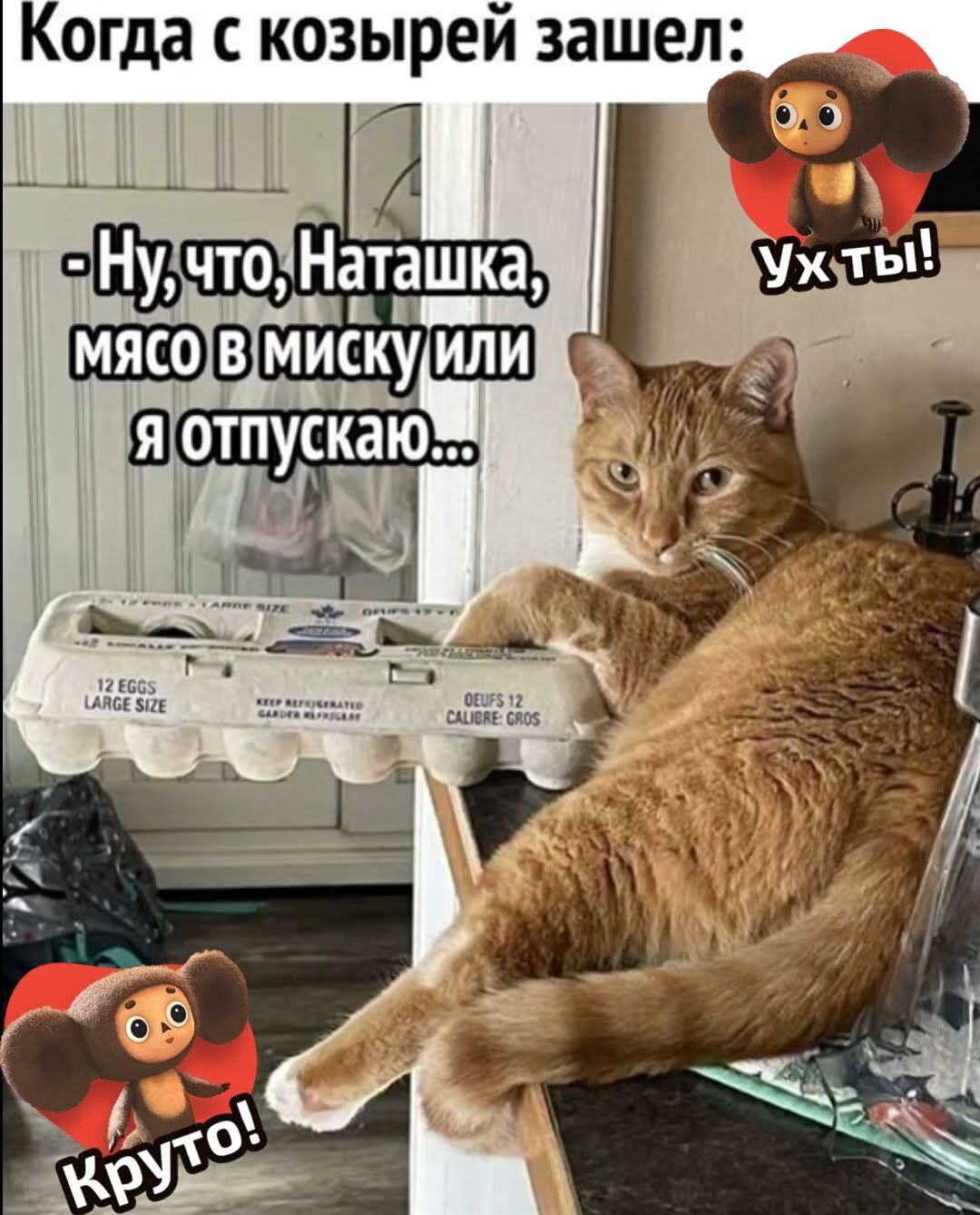 Когда с козырей зашел:
- Ну, что, Наташка, мясо в миску или я отпускаю...