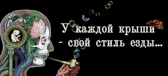 У каждой крыши - свой стиль езды...