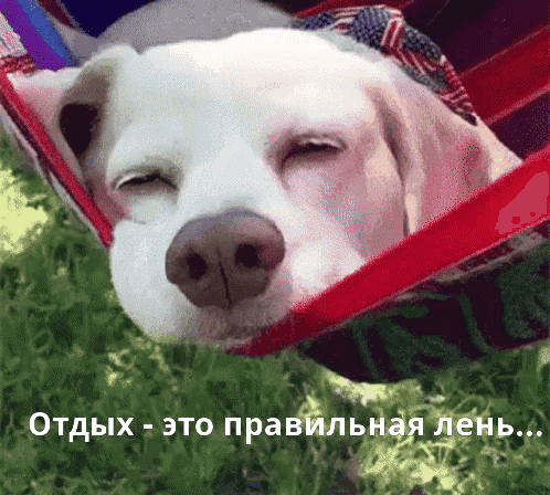 Отдых - это правильная лень...
