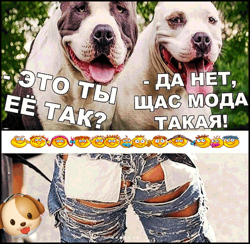 ЭТО ТЫ ЕЁ ТАК? - ДА НЕТ, ЩАС МОДА ТАКАЯ!
