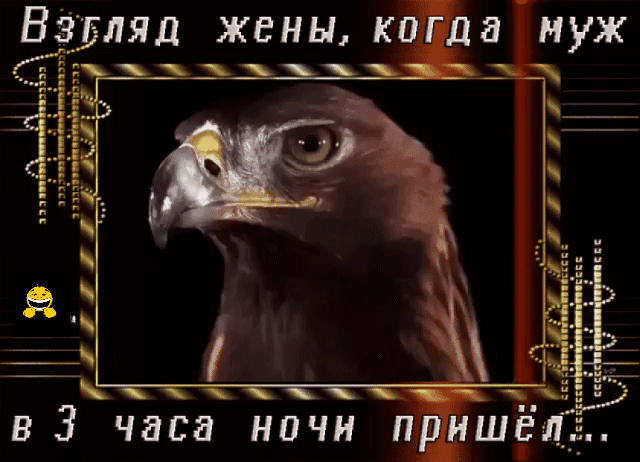 Взгляд жены, когда муж в 3 часа ночи пришёл..
