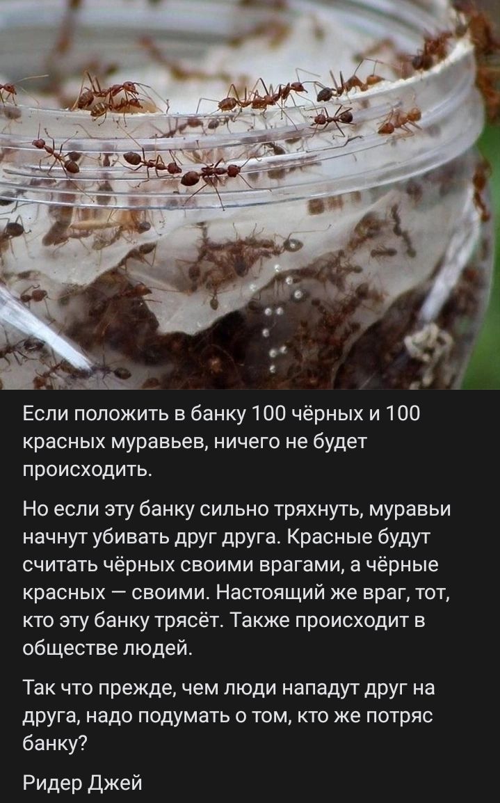 Если положить в банку 100 чёрных и 100 красных муравьёв, ничего не будет происходить.

Но если эту банку сильно тряхнуть, муравьи начнут убивать друг друга. Красные будут считать чёрных своими врагами, а чёрные красных — своими. Настоящий же враг тот, кто эту банку трясёт. Также происходит в обществе людей.

Так что прежде, чем люди нападут друг на друга, надо подумать о том, кто же потряc банка?

Ридер Джей
