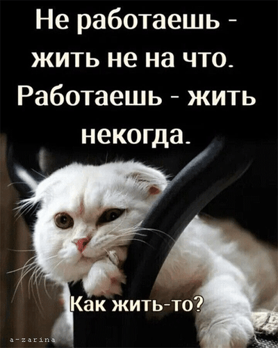 Не работаешь - жить не на что. Работаешь - жить некогда. Как жить-то?