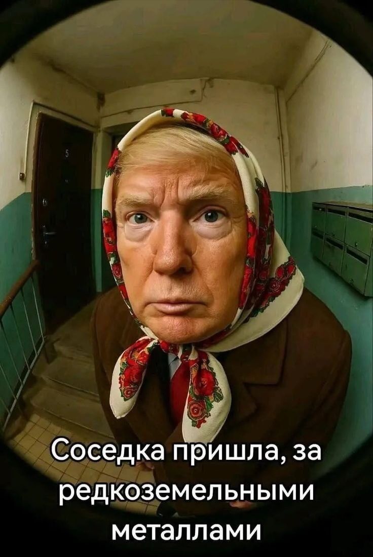 Соседка пришла, за редкоземельными металлами