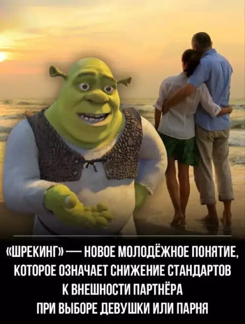 «ШРЕКИНГ» — новое молодёжное понятие, которое означает снижение стандартов к внешности партнёра при выборе девушки или парня