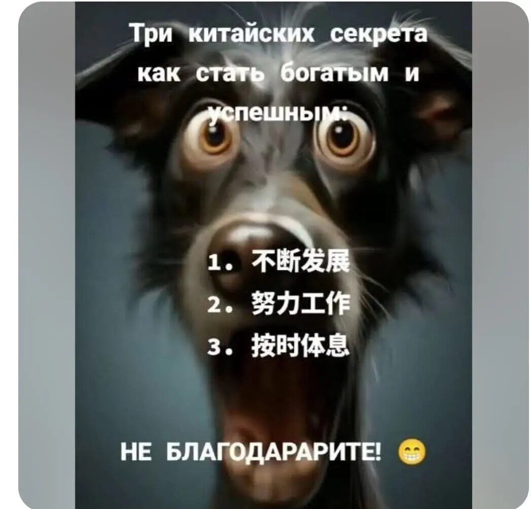 Три китайских секрета как стать богатым и успешны! 1. 不断发展 2. 努力工作 3. 按时休息 НЕ БЛАГОДАРИТЕ!