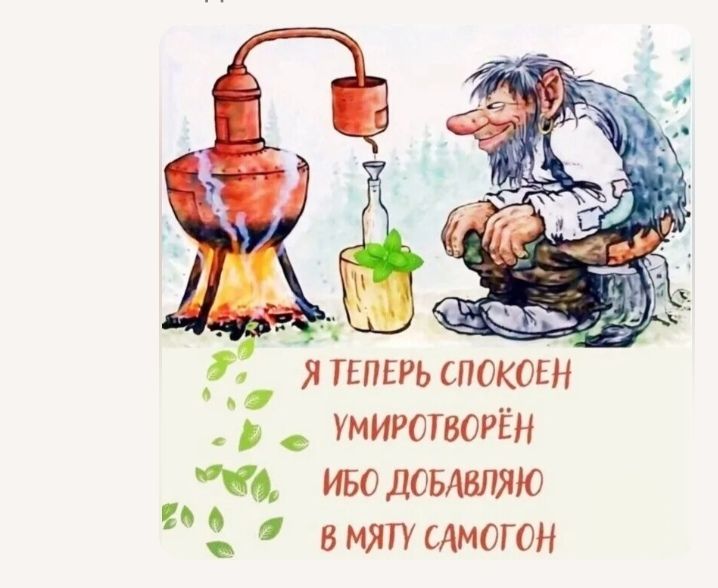 Я теперь спокоен умиротворён ибо добавляю в мяту самогон