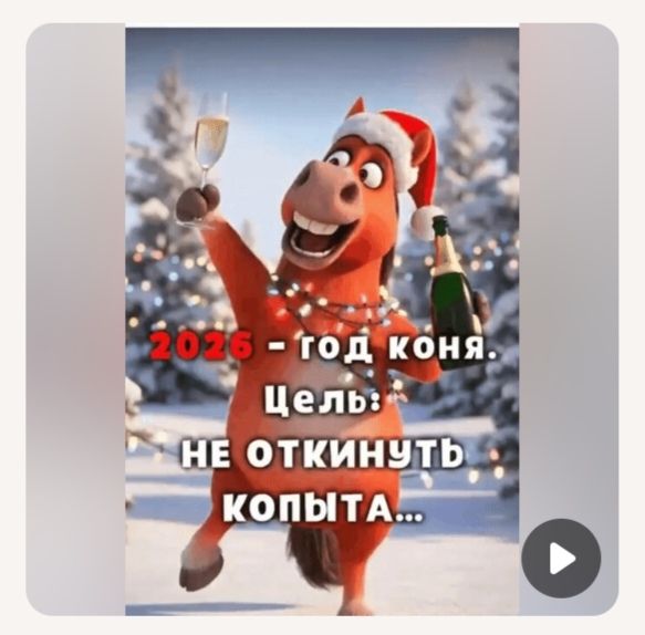 2025 - год коня. Цель: НЕ ОТКИНУТЬ копыта...