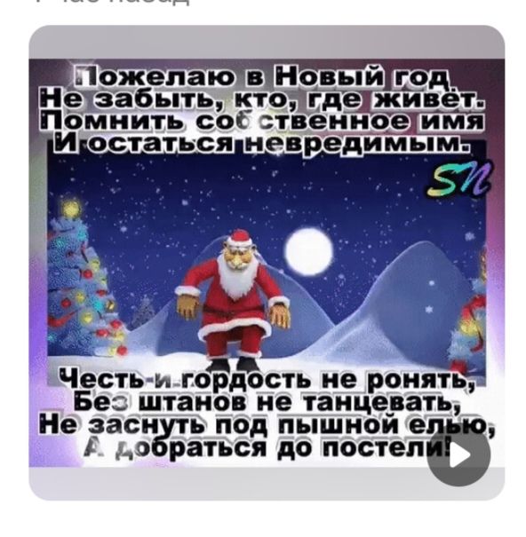 Пожелаю в Новый год, Не забывать, кто где живёт. Помнить совместное имя И остаться непредвидимым. Честь и гордость не ронять, Без штанов не танцевать, Не заснуть под пышной елью, Я добраться до постели.