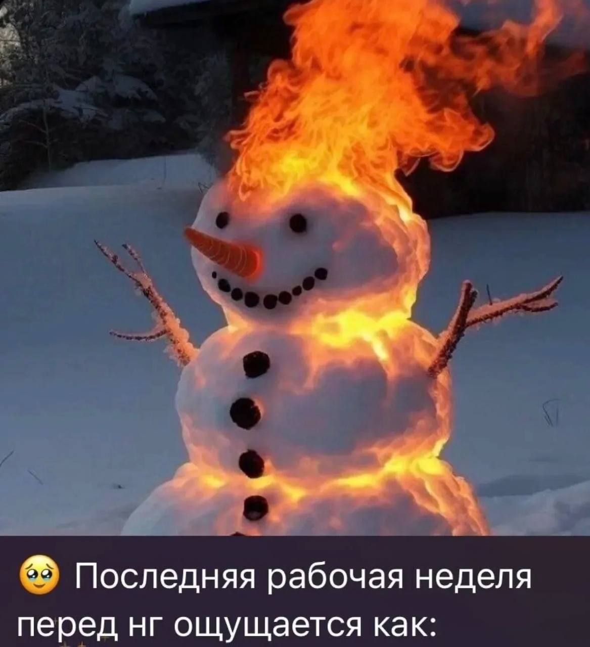 😢 Последняя рабочая неделя перед нг ощущается как: